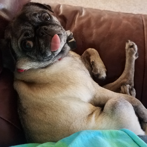 Me! - Picture 4 of 9